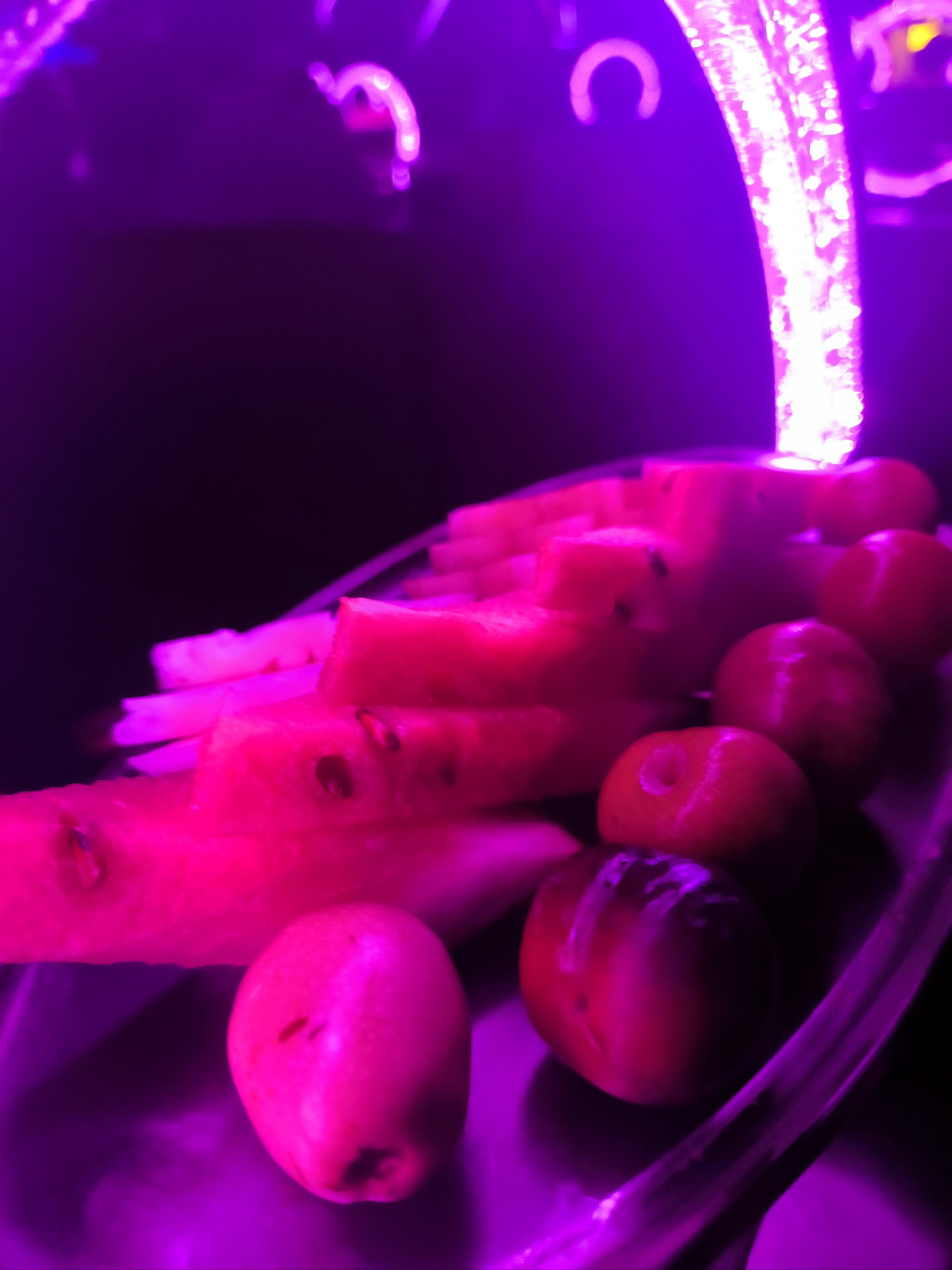 德州商务ktv：中低端魅力-德城区ktv预定